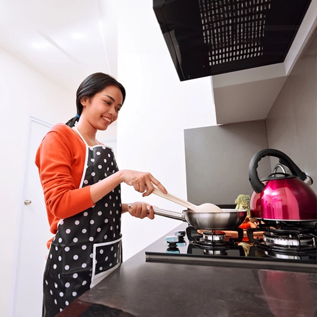 Haryana City Gas (HCG Bentex Group) CNG PNG Infrastructure Banner 2